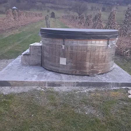 Alloggio per agriturismo Pensiunea Sanziene Strîmtura