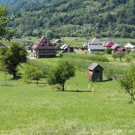 Feriegård Pensiunea Sanziene